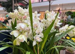 Fruehling In Jenas Goethe Galerie 2024 15